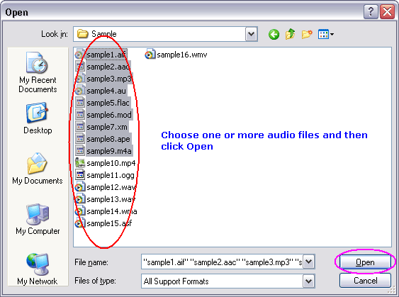 Choose one or more MPGA files